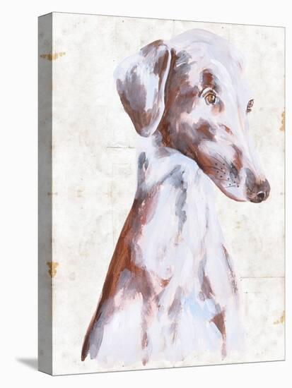 Sitting Dog II-Melissa Wang-Stretched Canvas