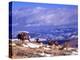 Six Bighorn Rams, Whiskey Mountain, Wyoming, USA-Howie Garber-Premier Image Canvas