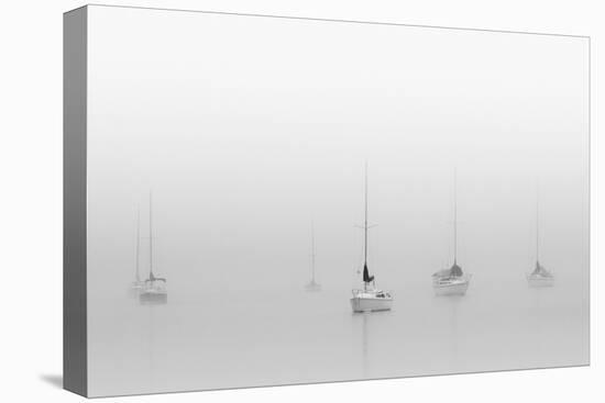 Six Moored Sailboats-Nicholas Bell-Premier Image Canvas