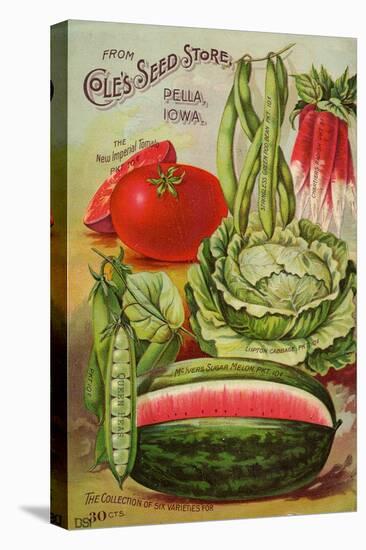 Six Varieties from Cole's Seed Store, Pella, Iowa-null-Stretched Canvas