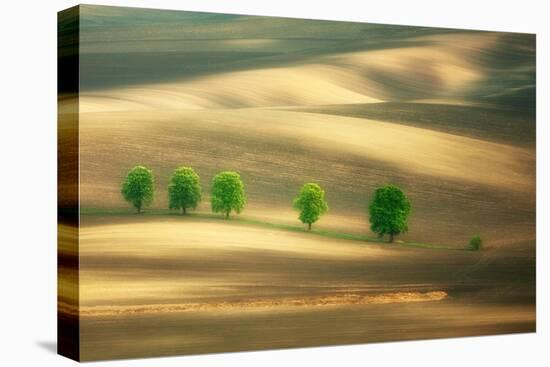 Six-Marcin Sobas-Premier Image Canvas