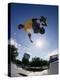 Skateboarder in Action on the Vert-null-Premier Image Canvas