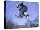 Skateboarder in Midair Doing a Trick-null-Premier Image Canvas