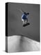 Skateboarder Performing Tricks-null-Premier Image Canvas