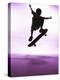 Skateboarder Silhouette-null-Premier Image Canvas