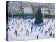 Skating, Natural History Museum, 2012-Andrew Macara-Premier Image Canvas