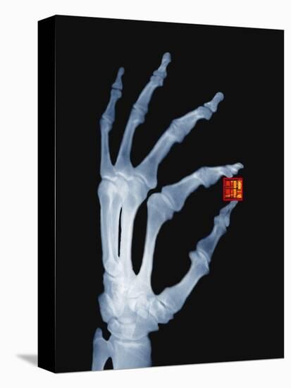 Skeletal Hand Holding Computer Chip-Charles O'Rear-Premier Image Canvas
