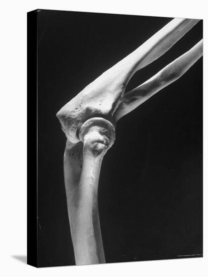 Skeletal Structures of an Elbow, Showing Joint-Andreas Feininger-Premier Image Canvas