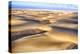 Skeleton Coast, Namibia. Aerial View of Immense Sand Dunes-Janet Muir-Premier Image Canvas