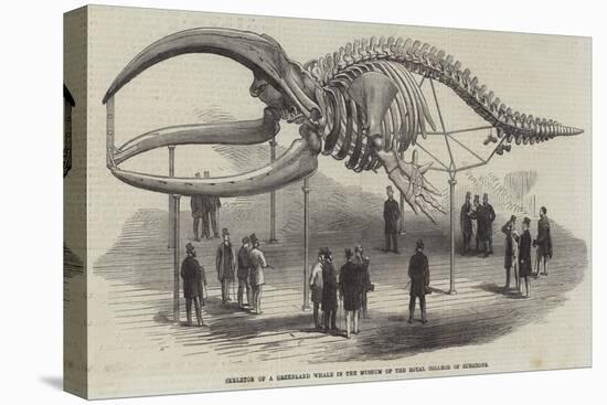 Skeleton of a Greenland Whale in the Museum of the Royal College of Surgeons-null-Premier Image Canvas