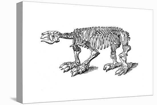 Skeleton of Megatherium, Extinct Giant Ground Sloth, 1833-Jackson-Premier Image Canvas