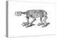 Skeleton of Megatherium, Extinct Giant Ground Sloth, 1833-Jackson-Premier Image Canvas