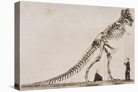 Skeleton of the Tyrannosaurus Rex, in the American Museum of Natural Histor-English School-Premier Image Canvas