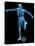 Skeleton Playing Football-Roger Harris-Premier Image Canvas