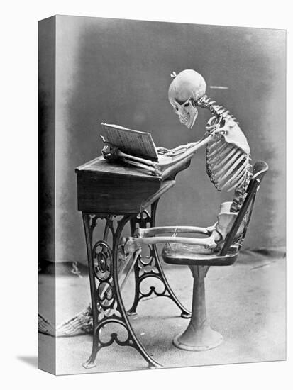 Skeleton Reading at Desk-Bettmann-Premier Image Canvas