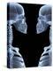 Skeletons, X-ray Artwork-David Mack-Premier Image Canvas