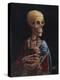 Skelly With A Ferret-Marie Marfia Fine Art-Premier Image Canvas