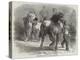 Sketch from The Horse Fair-Rosa Bonheur-Premier Image Canvas