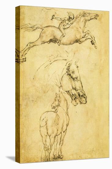 Sketch of a Horse-Leonardo da Vinci-Stretched Canvas