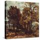 Sketch of a Lane at East Bergholt, C.1810 (Oil on Paper Laid on Canvas)-John Constable-Premier Image Canvas