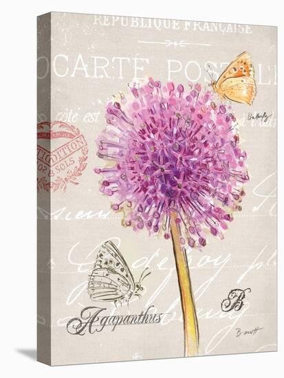 Sketchbook Agapanthus-Chad Barrett-Stretched Canvas