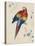 Sketchbook Macaw II-Edward Lear-Stretched Canvas