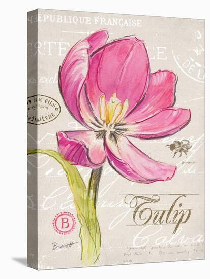 Sketchbook Tulip-Chad Barrett-Stretched Canvas