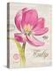 Sketchbook Tulip-Chad Barrett-Stretched Canvas