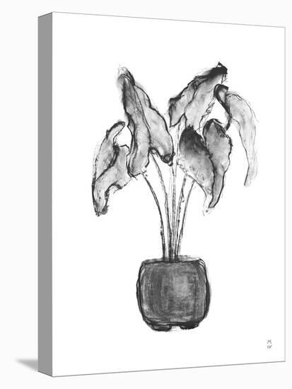 Sketched Houseplant - Cultivate-Manny Woodard-Stretched Canvas