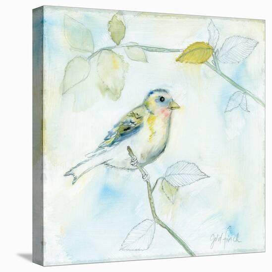 Sketched Songbird I-Sue Schlabach-Stretched Canvas