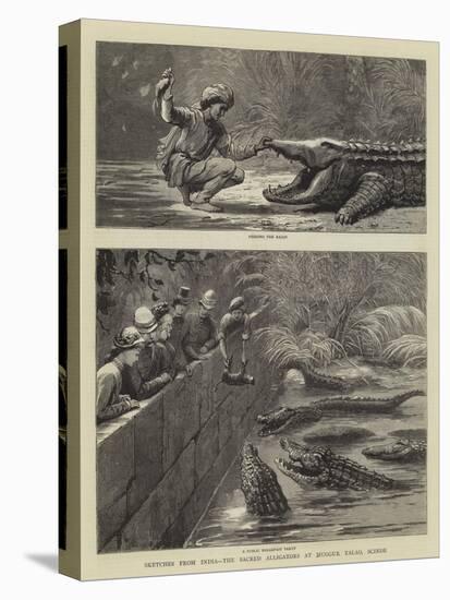 Sketches from India, the Sacred Alligators at Muggur Talao, Scinde-null-Premier Image Canvas