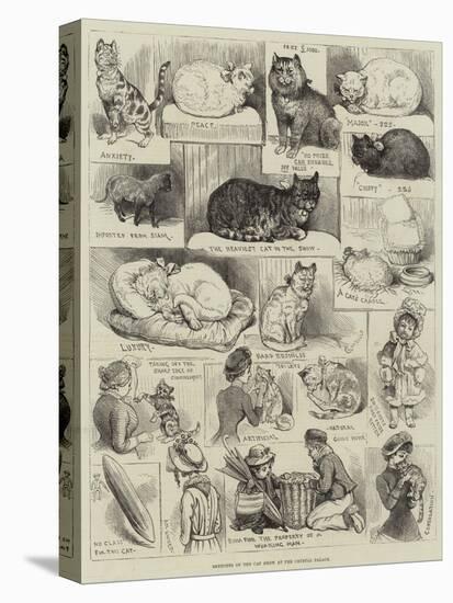 Sketches of the Cat Show at the Crystal Palace-Alfred Courbould-Premier Image Canvas