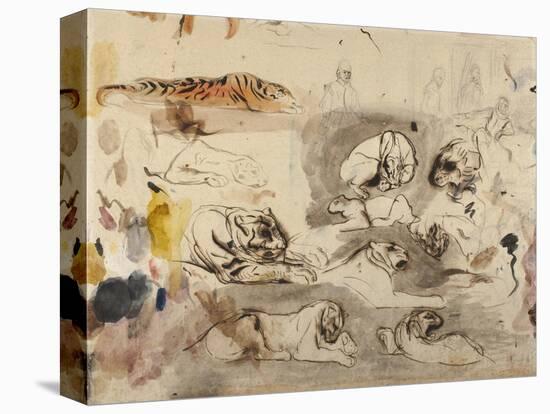 Sketches of Tigers and Men in 16th Century Costume, 1828-29-Eugene Delacroix-Premier Image Canvas