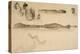 Sketches on the Coast Survey Plate-James Abbott McNeill Whistler-Premier Image Canvas