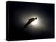 Ski Jumper in Action, Torino, Italy-Chris Trotman-Premier Image Canvas