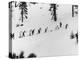 Ski Slope at Squaw Valley During Winter Olympics-George Silk-Premier Image Canvas