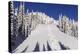 Ski Tracks Off of Lodi at Whitefish, Mountain Resort, Montana, Usa-Chuck Haney-Premier Image Canvas