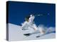 Skier in White-null-Premier Image Canvas