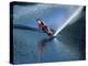 Skier Speeding, Water Spraying-null-Premier Image Canvas