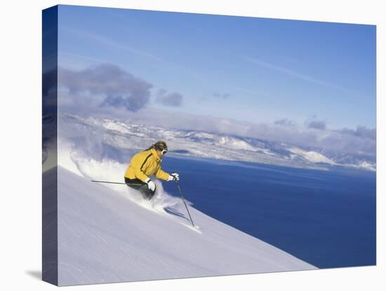 Skier with Beautiful Scenery Beyond-null-Premier Image Canvas