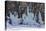 Skiers Underneath the Frozen Waterfall, Ski Piste-Mark Doherty-Premier Image Canvas