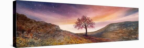 Skies Of Gold Over Sycamore Gap-Jennifer Taylor-Stretched Canvas