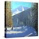 Skiing, Beauregard La Clusaz, 2012-Andrew Macara-Premier Image Canvas