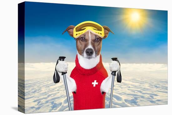 Skiing Dog-Javier Brosch-Premier Image Canvas