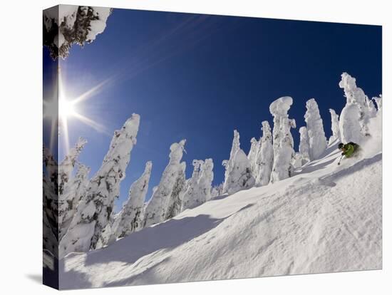 Skiing Untracked Powder at Whitefish Mountain Resort, Montana, Usa-Chuck Haney-Premier Image Canvas