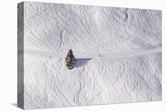 Skipiste, Snow, Skispuren, Skiers, Tree Austria-Roland T.-Premier Image Canvas
