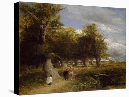 Skirts of the Forest, 1855 (Oil on Canvas)-David Cox-Premier Image Canvas