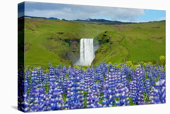 Skogafoss, Lupins in the Foreground-Catharina Lux-Premier Image Canvas