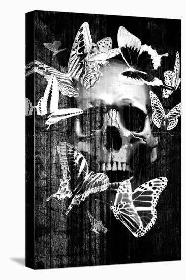 Skull Butterfly Crown-null-Premier Image Canvas