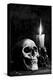 Skull Candle Black & White-null-Stretched Canvas